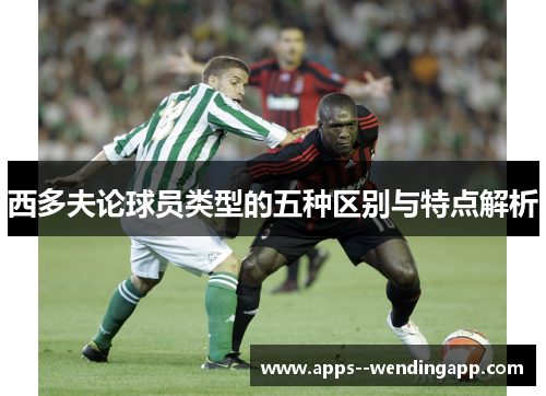 西多夫论球员类型的五种区别与特点解析