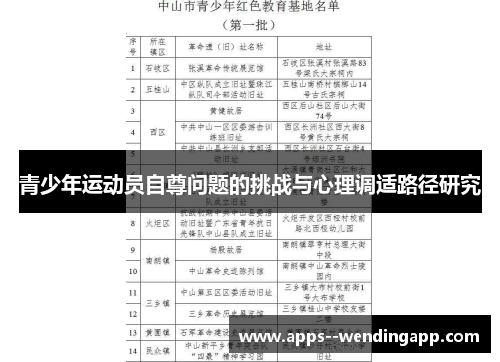 青少年运动员自尊问题的挑战与心理调适路径研究