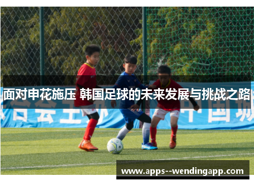面对申花施压 韩国足球的未来发展与挑战之路